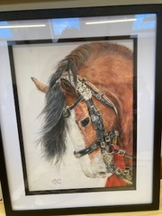 Horse coloured in pencils by Julie